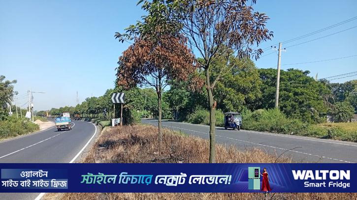 কুমিল্লায় মহাসড়কের বকুলগাছে দফায় দফায় আগুন