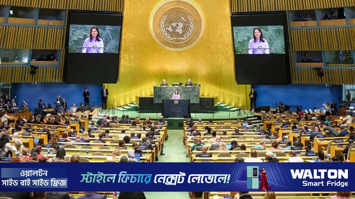 ইসরায়েলের অবৈধ দখলদারিত্বের বিরুদ্ধে জাতিসংঘে দুটি প্রস্তাব পাস