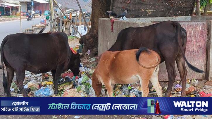 পর্যটন নগরী রাঙামাটিতে ছড়াচ্ছে ময়লার দুর্গন্ধ 