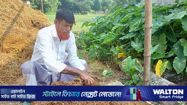১৭৫ বিঘা জমির ফসল হারিয়ে দিশেহারা আব্দুল আহাদ