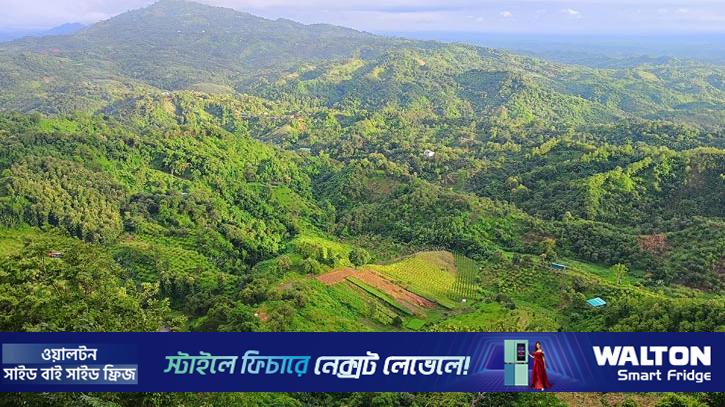 বান্দরবানে ৬ রাবার শ্রমিককে অপহরণের অভিযোগ