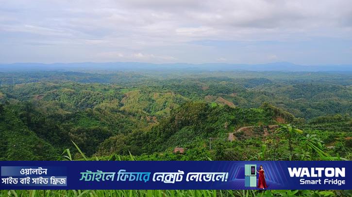 বান্দরবানে অপহৃত ৬ শ্রমিক উদ্ধার