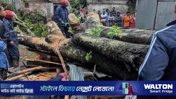 বগুড়ায় ঝড়ে গাছ ভেঙে দোকানির মৃত্যু
