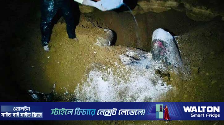 মাটি খুঁড়ে মৃত হাতির মাংস চুরির চেষ্টা