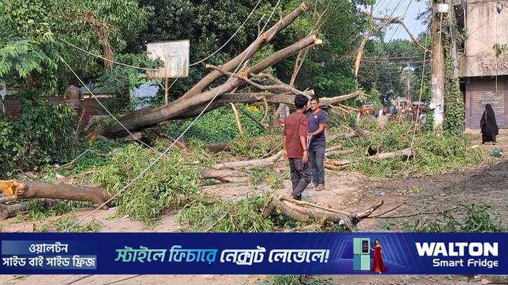 টাঙ্গাইলে ১৪ ঘণ্টায়ও বিদ্যুৎ সঞ্চালন স্বাভাবিক হয়নি