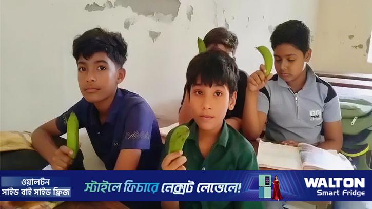 টিফিনে কাঁচা কলা বিতরণ, ফরিদপুরে শিক্ষিকা বরখাস্ত