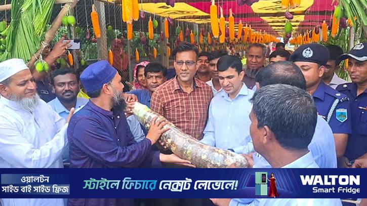 কৃষিপণ্যে সাজানো তোরণ, প্রধান অতিথিকে বরণ মানকচু দিয়ে