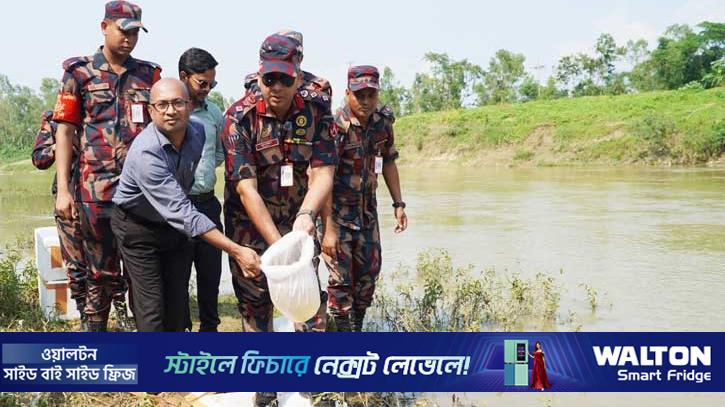 হবিগঞ্জে ২ কোটি টাকার চিংড়ির রেণু উদ্ধার, পরে নদীতে অবমুক্ত