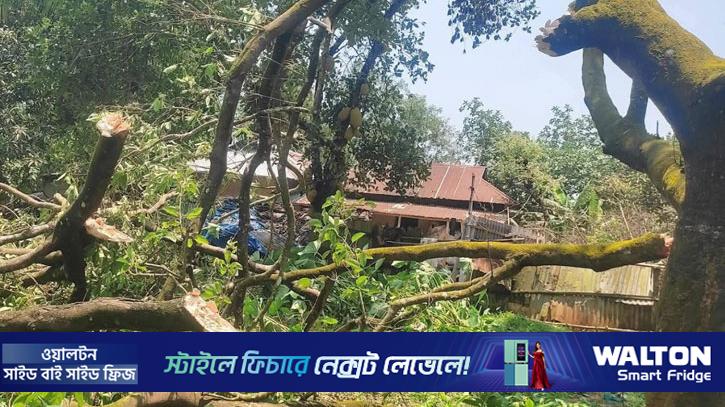 কালবৈশাখীতে বিদ্যুৎহীন শ্রীপুরের তিন গ্রাম