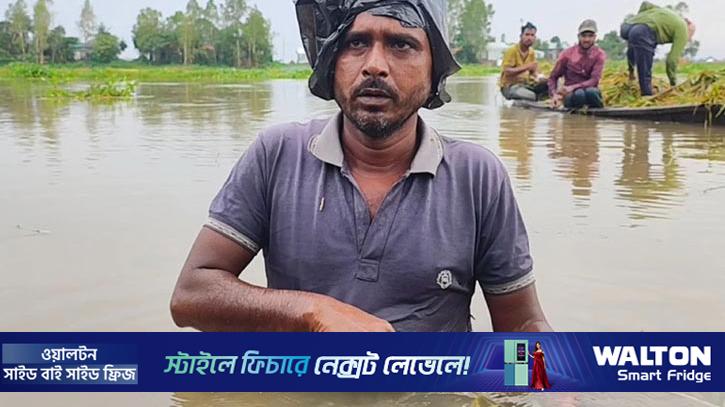 হবিগঞ্জে তলিয়েছে ৫ হাজার হেক্টর ধানি জমি