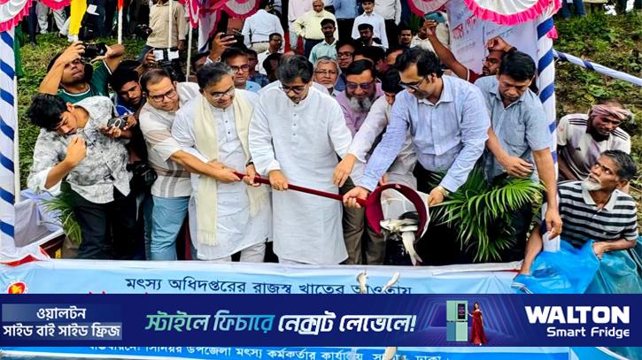জাবির জলাশয়ে ৪১২ কেজি মাছের পোনা অবমুক্ত