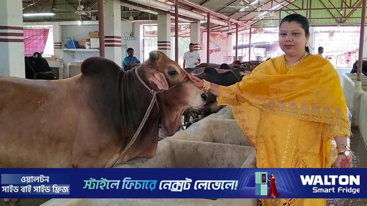 এক থেকে ৬০ গরু, ঝালকাঠির সফল নারী উদ্যাক্তা ফারিয়া 