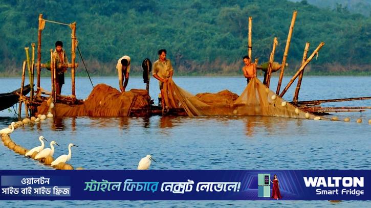 কাপ্তাই হ্রদে মাছ আহরণে নিষেধাজ্ঞা শুরু