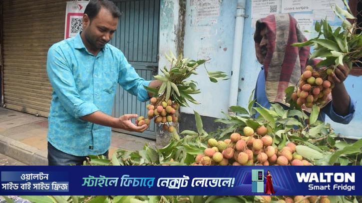 মৌসুম শুরুর আগেই বাজারে অপরিপক্ক লিচু