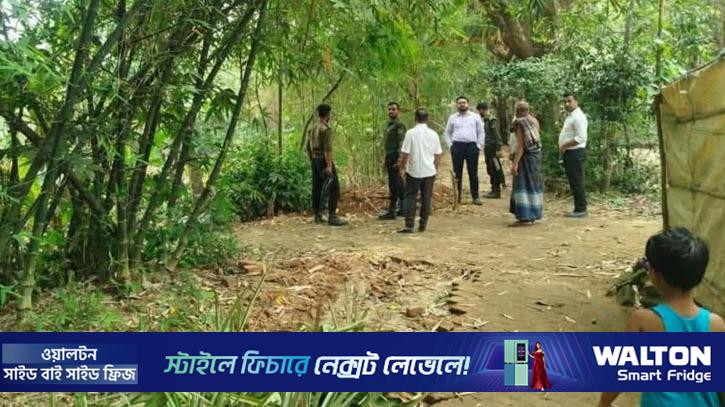 নরসিংদীতে সরকারি রাস্তা কেটে আনারস চাষ, কারাদণ্ড