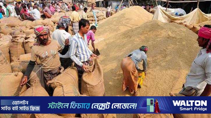 সিলেট অঞ্চলে ধান-চাল সংগ্রহে এবার সর্বোচ্চ লক্ষ্যমাত্রা
