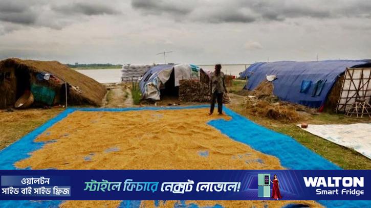মেঘে ঢাকা আকাশ, ধান শুকানো নিয়ে শঙ্কায় হাওরাঞ্চলের কৃষক