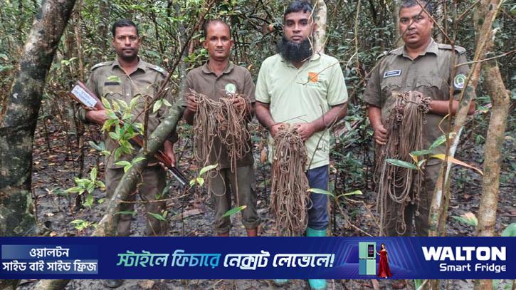 পূর্ব সুন্দরবনে বেড়েছে বাঘ-হরিণসহ বন্যপ্রাণী 