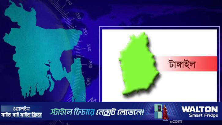 টাঙ্গাইলে পুকুরের পানিতে ডুবে ২ ভাইয়ের মৃত্যু