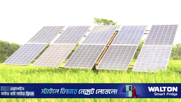 জ্বালানি সংকটে বাড়ছে সৌর সেচ পাম্পের চাহিদা, সাশ্রয় সাড়ে ৫ কোটি টাকা