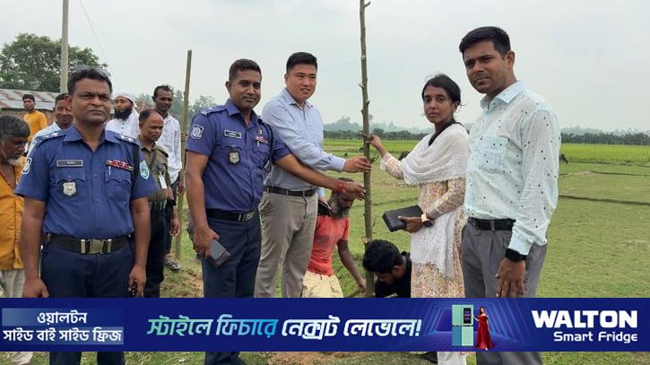 হাকিমপুরে সড়কের পাশে ৩ হাজার সজনে ডাল রোপণ