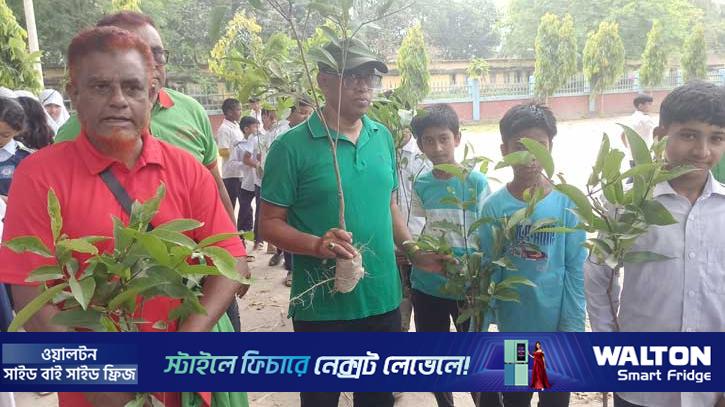 পঞ্চগড়ে ৬ শতাধিক শিক্ষার্থীর মধ্যে চারা বিতরণ 