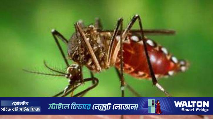 ডেঙ্গুতে একজনের মৃত্যু, হাসপাতালে ভর্তি ৩৫ 