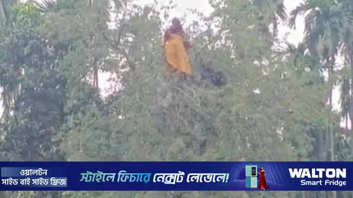তেঁতুল গাছের মগডালে নারী, পরে পুকুরে লাফ