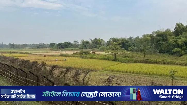 পঞ্চগড় সীমান্ত থেকে দুই কিশোরকে ধরে নিয়ে গেছে বিএসএফ