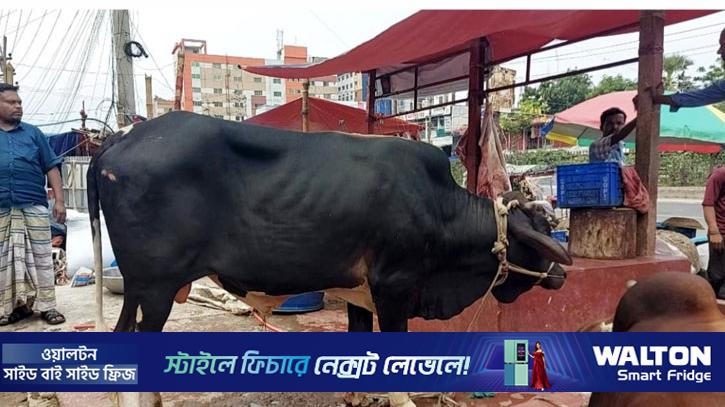 গাজীপুরে ডাকাতির পর ৮ গরু উদ্ধার, আটক ৪