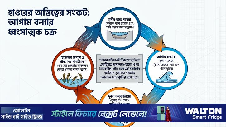 হাওরে সংকট, ফসল রক্ষায় হাজার কোটি টাকার প্রকল্প