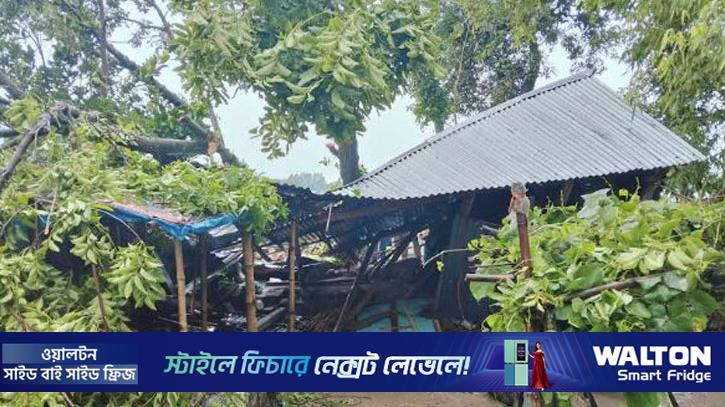 জামালপুরে ঝড়ে গাছচাপায় ঘুমন্ত মা ও দুই মেয়ের মৃত্যু