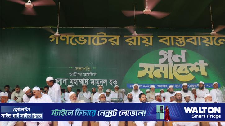 ৫০ বছরের রাজনীতির সাথে বিশ্বাসঘাতকতা করবেন না: মামুনুল হক