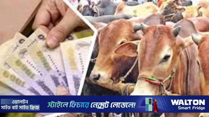জাল নোট ঠেকাতে কোরবানির পশুর হাটে বসবে বুথ