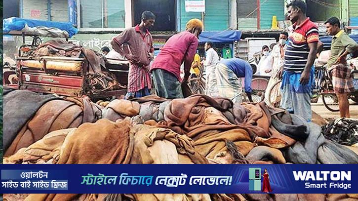 দাম বাড়ল কোরবানির পশুর চামড়ার, প্রতি বর্গফুট কত