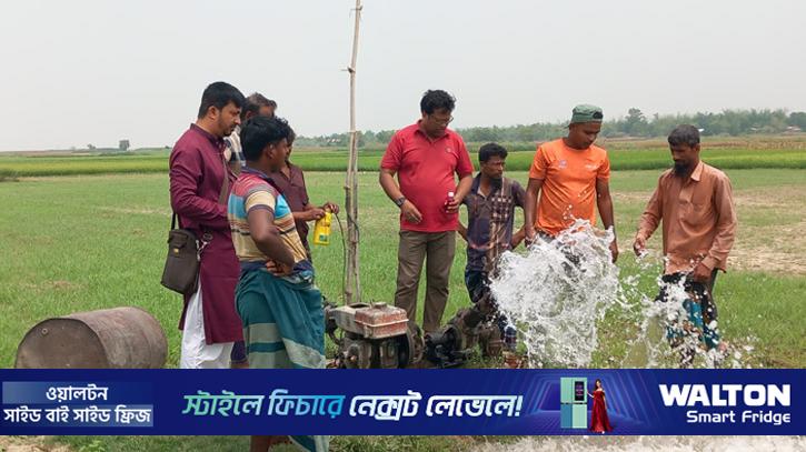 ডিজেল সংকটে বিকল্প জ্বালানিতে সেচ দিচ্ছেন কৃষকরা