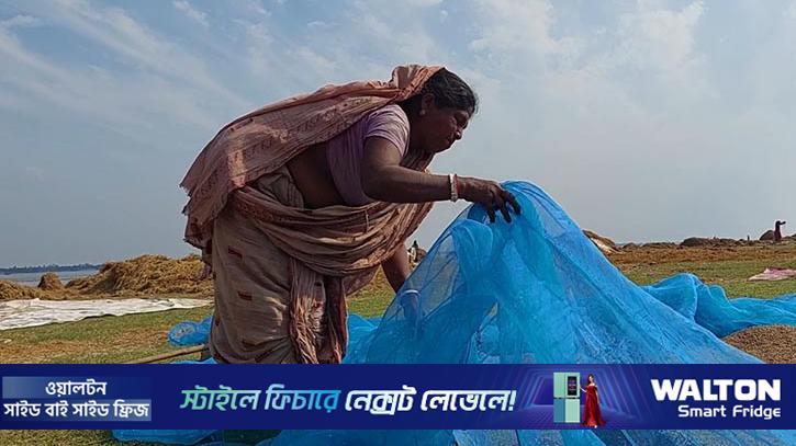 হাওরে দুর্যোগ-দারিদ্র্যে থেমে নেই মায়েদের জীবনযুদ্ধ