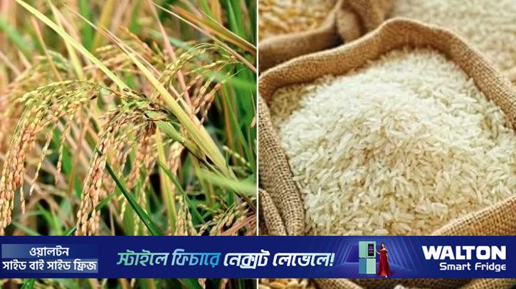 ক্ষতিগ্রস্ত কৃষকদের ধান-চাল কিনবে সরকার