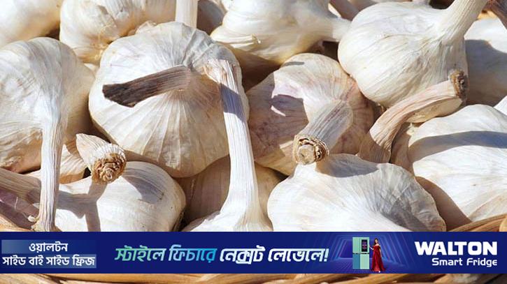 আজ ‘জাতীয় রসুন দিবস’