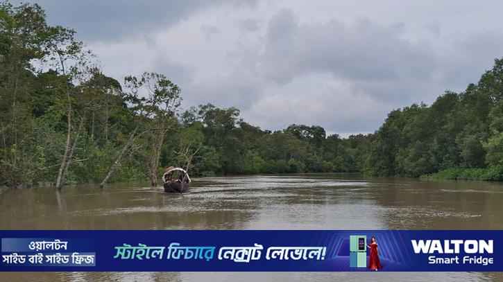 মুক্তিপণ দিয়ে সুন্দরবন থেকে ফিরলেন ১১ জেলে