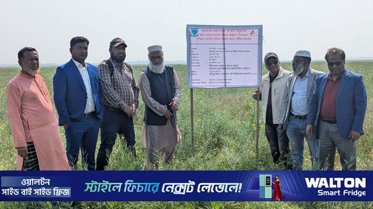 হাওর অঞ্চলে কৃষি বৈচিত্র্যে নতুন সংযোজন সরিষা চাষ