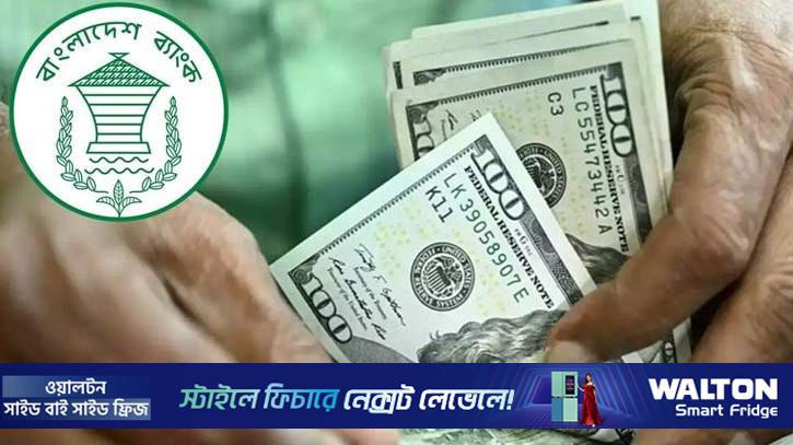 ফেব্রুয়ারিতে ১৪ দিনে প্রবাসী আয় সাড়ে ১৬ হাজার কোটি টাকা