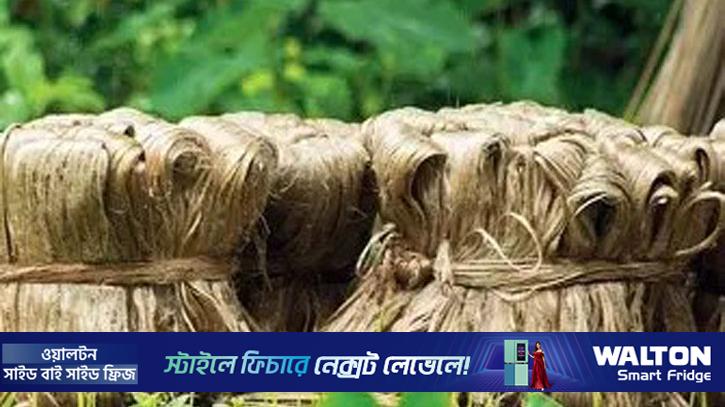 কাঁচা পাটের রপ্তানি তালিকা থেকে বাদ মেশিন প্রসেসড স্লাইভার