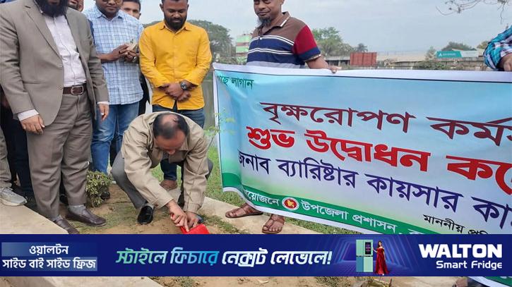 একটি গাছ, একটি ভবিষ্যৎ: ভূমি প্রতিমন্ত্রী