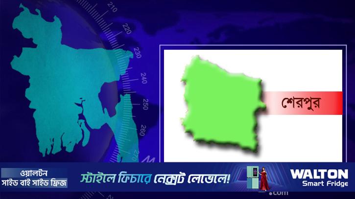 শেরপুরে সিল দেওয়া শতাধিক ব্যালট উদ্ধার, আটক ২