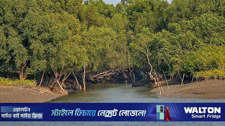 সুন্দরবনে ৬ জেলে অপহরণ