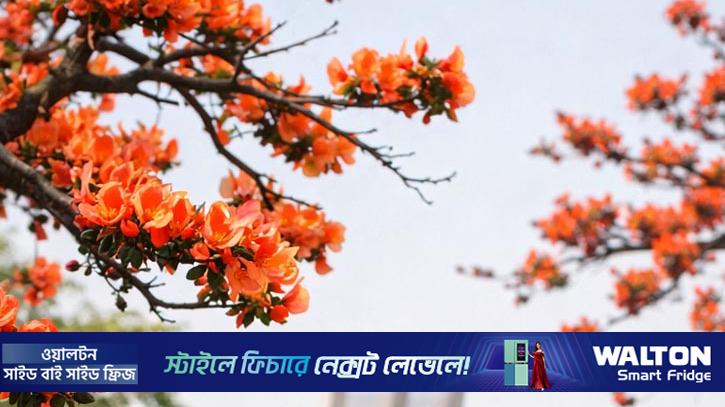 ঋতুরাজ বসন্ত এসে গেছে