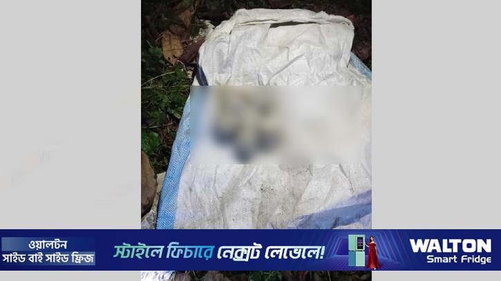 বাগেরহাটে যৌথ বাহিনীর অভিযানে ৬ ককটেল উদ্ধার, নিরাপত্তা জোরদার