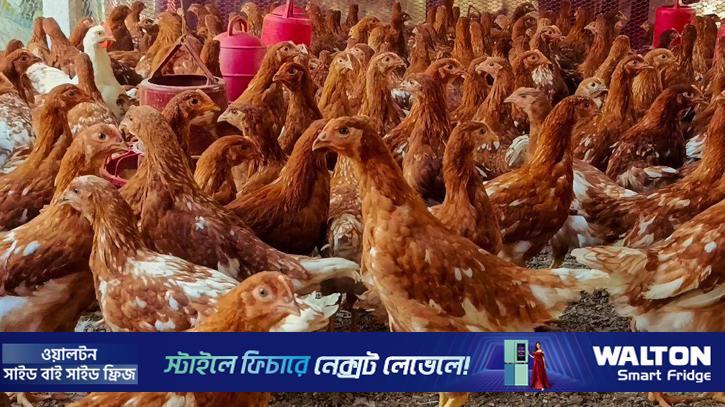 রোজার আগেই বাড়ল ১০ পণ্যের দাম