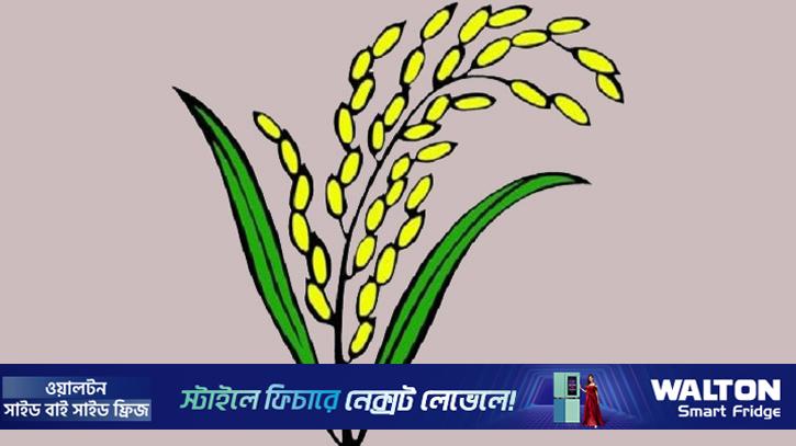 এ্যানিসহ লক্ষ্মীপুরে সব আসনে বিএনপি প্রার্থী জয়ী